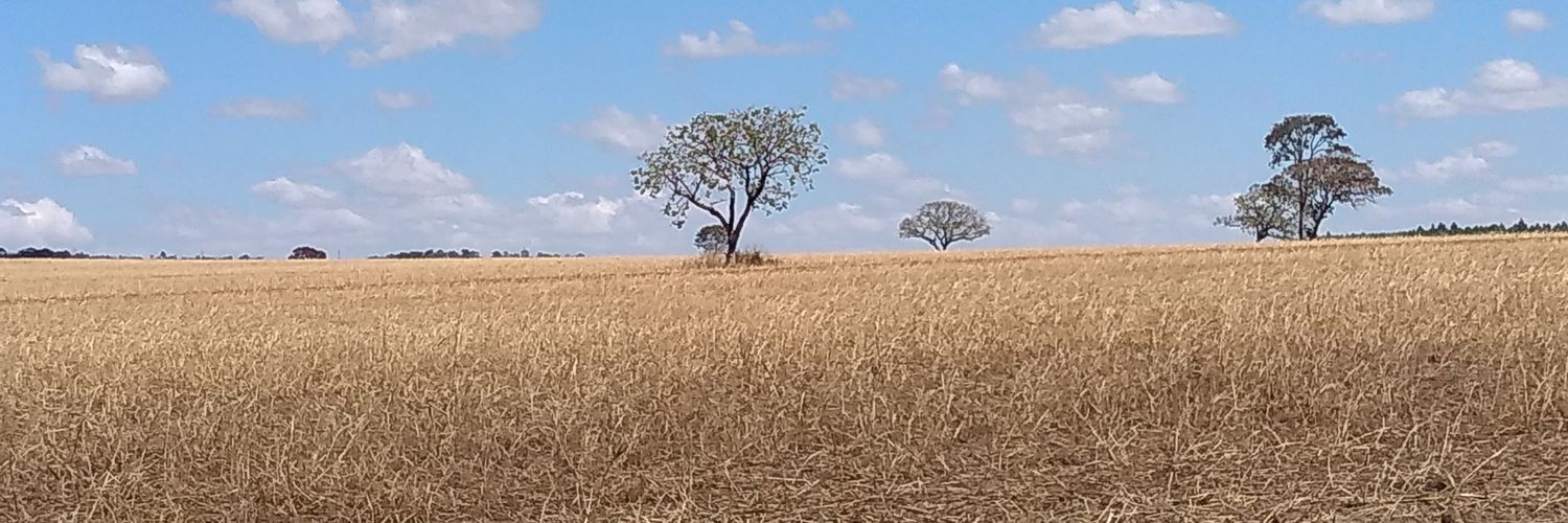 AlmaRasgada's profile banner image