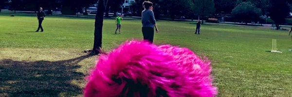 halbpro Profile Banner