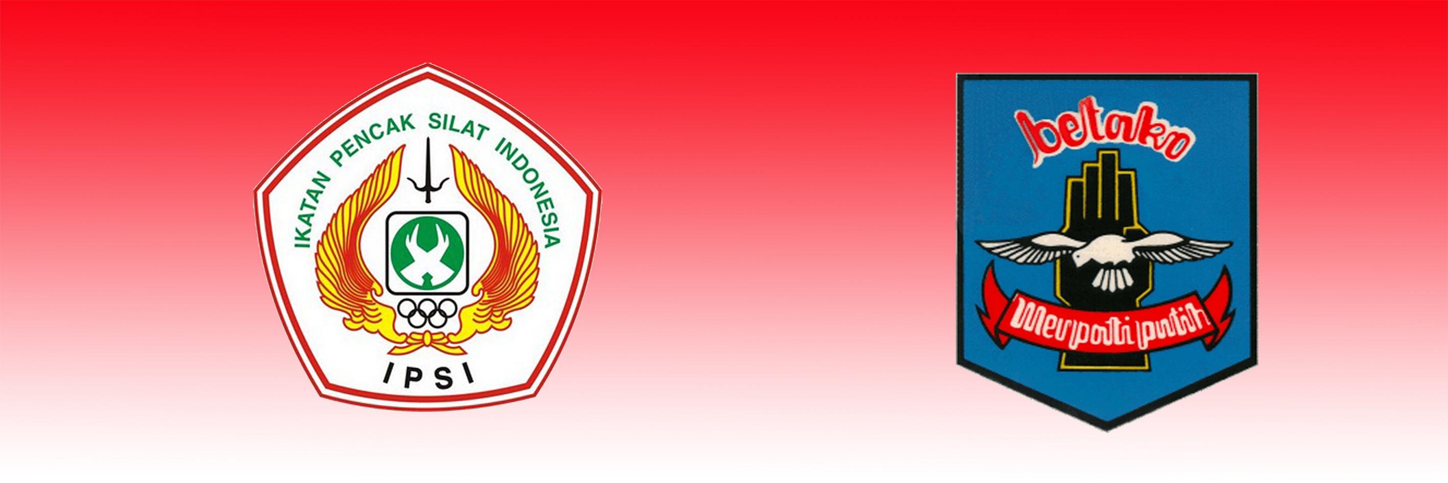 mpbinus's profile banner image
