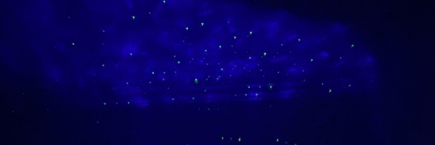 فيروز banner