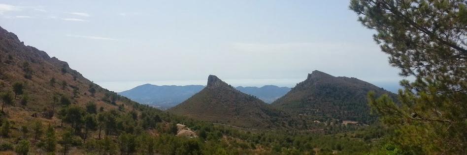 Thomas Rasmussen banner