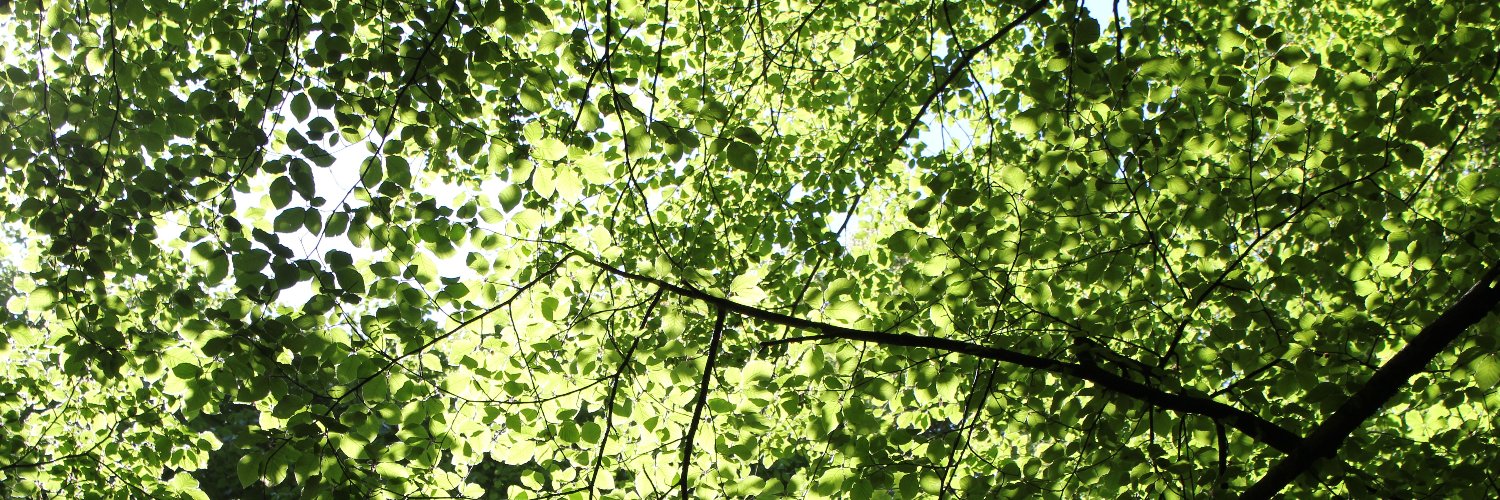 Larvik kommune banner