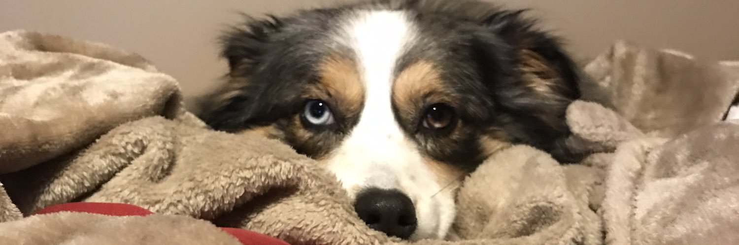 TM_Raggs3's profile banner image