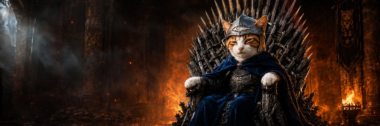 WallStreetMeow's profile banner image