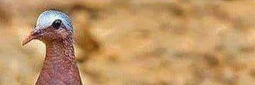 வாசுதேவன்.பெ banner