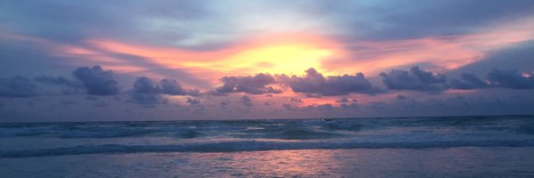 ami_phillips Profile Banner