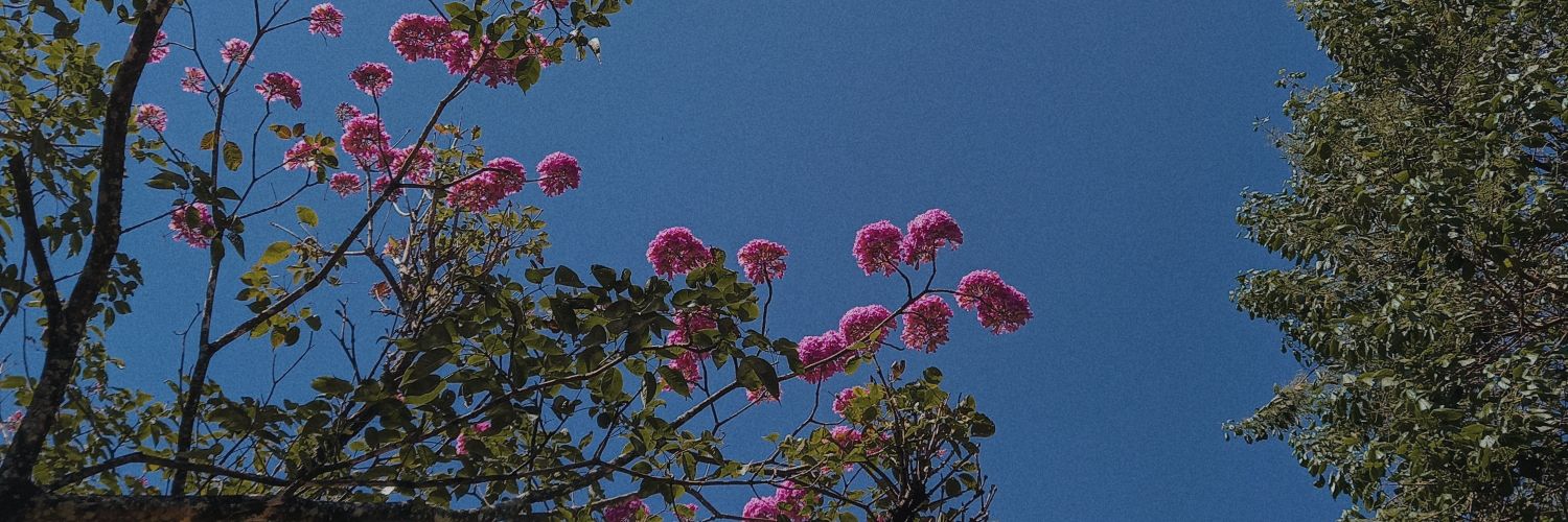 tetearp's profile banner image