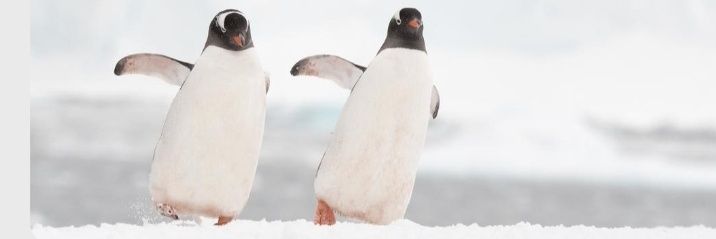 Flandermmel's profile banner image