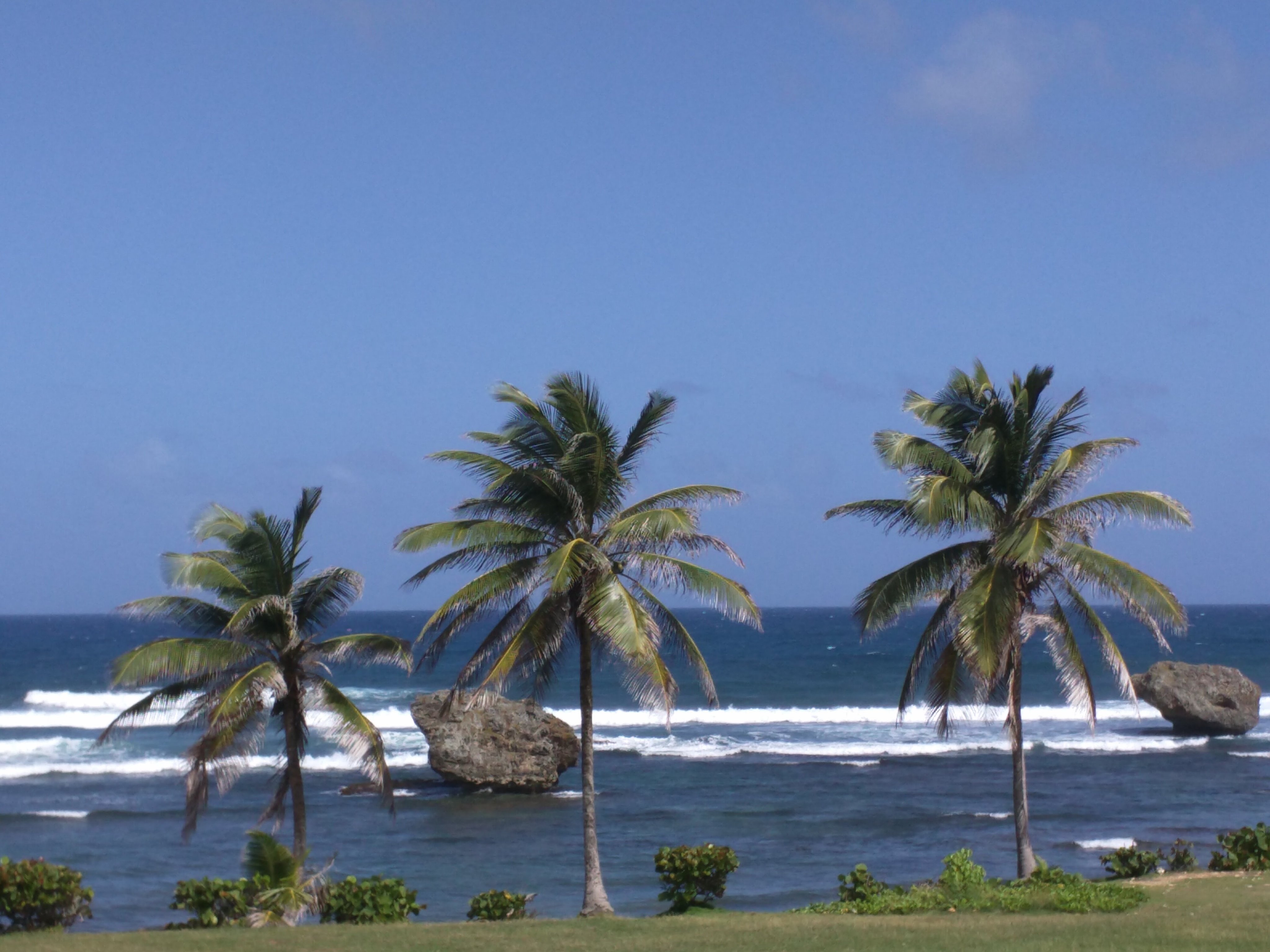 HinduKushh's profile banner image