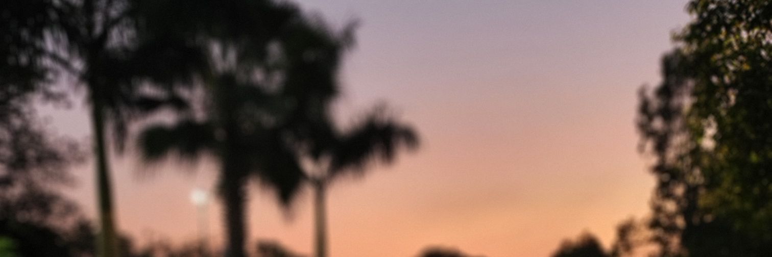 Theophilus Daniel banner