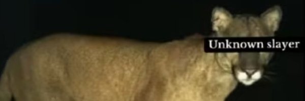 nextgennny Profile Banner