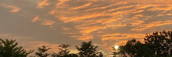 lereeng Profile Banner