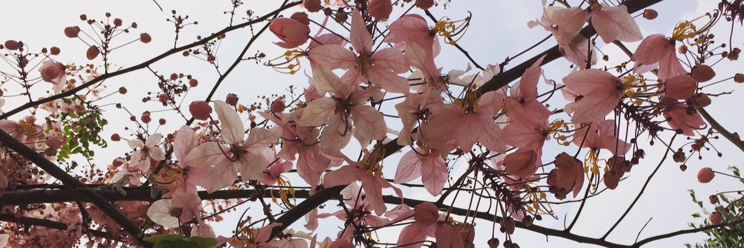 EndK_EndLast's profile banner image