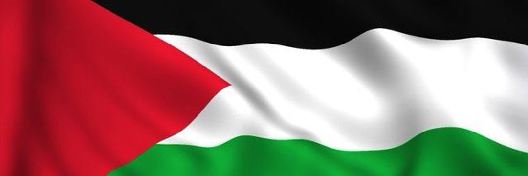🇵🇸Lara🕊️ Omar 🇵🇸's banner