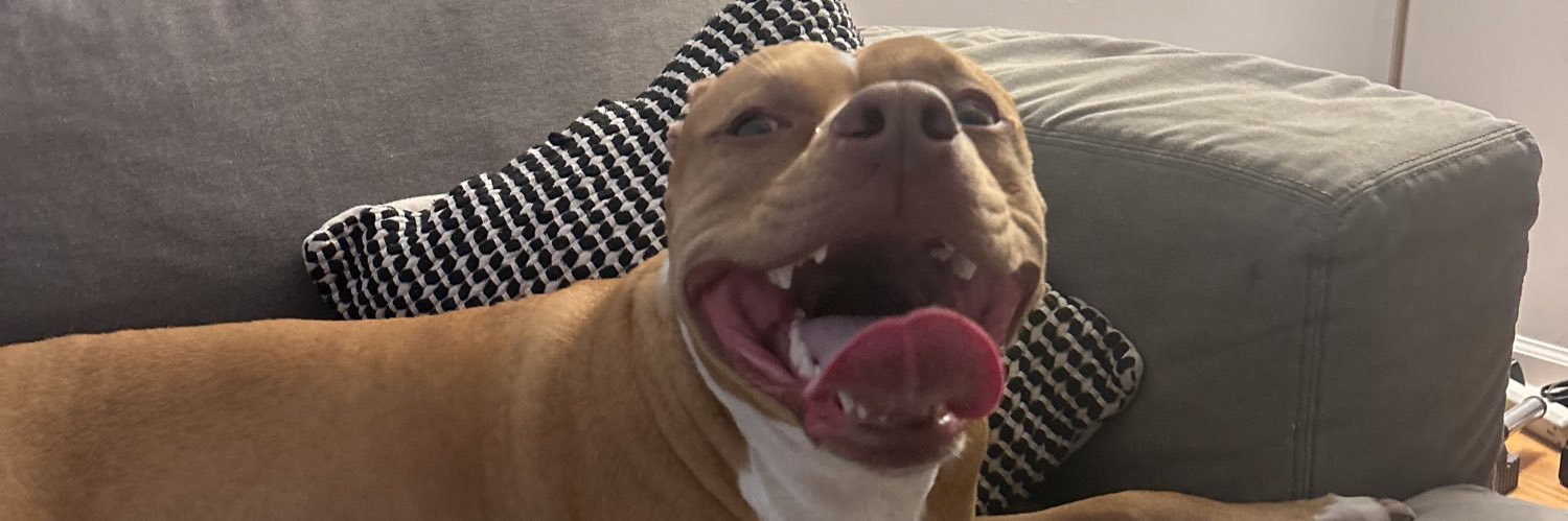 CollynJ55's profile banner image