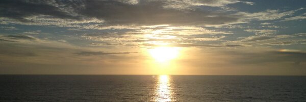 Dcnitz Profile Banner