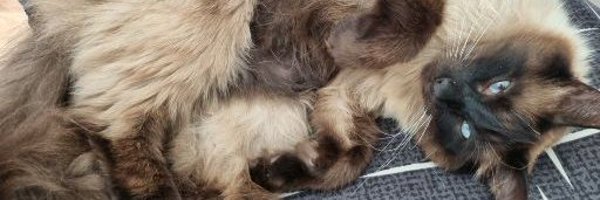 JodanOW Profile Banner