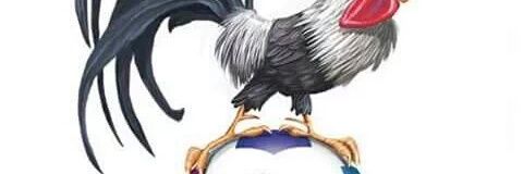ArcanjoJunior's profile banner image