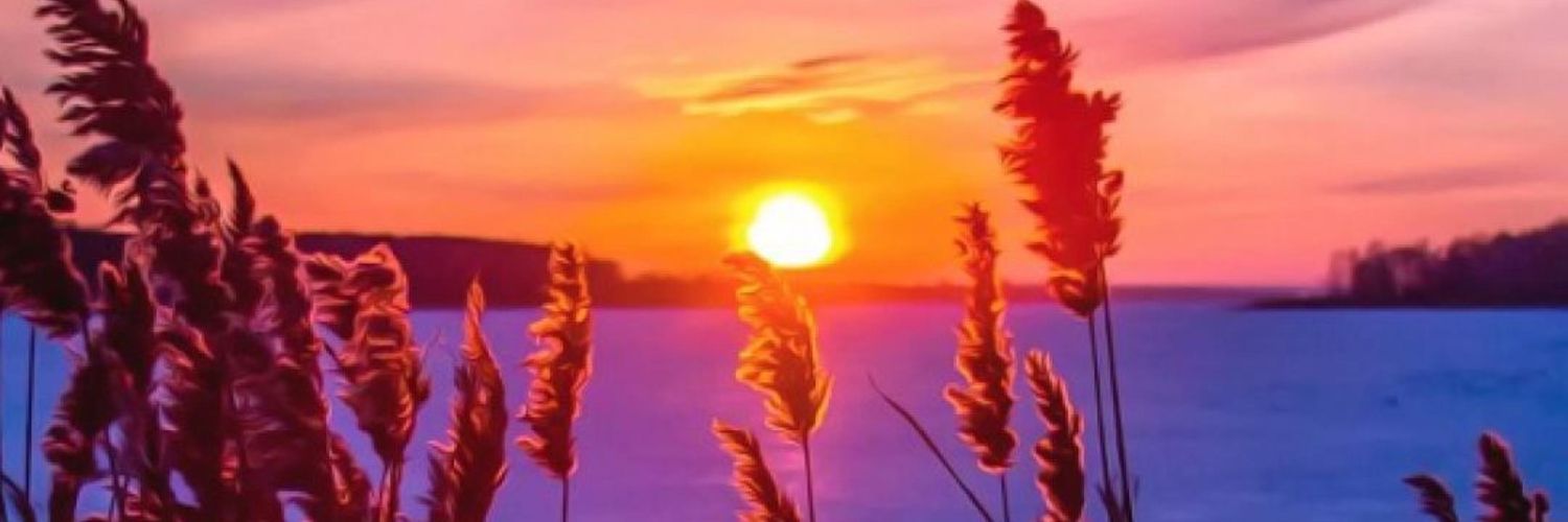 amdcampos31's profile banner image