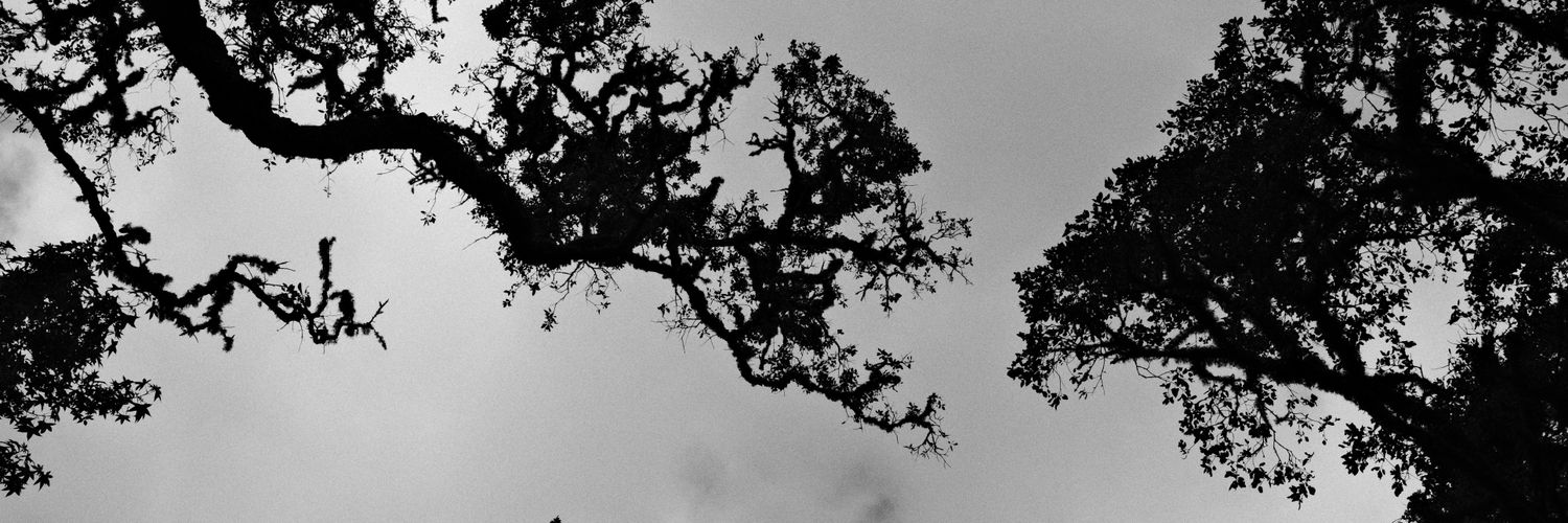 RobinE55er's profile banner image