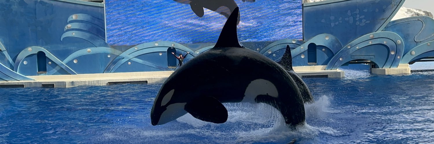 Fifty-five五十五 banner