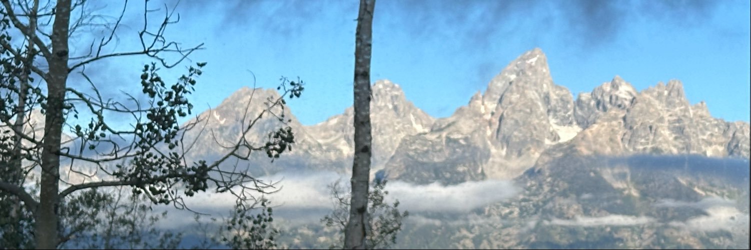 h0tp1ckl3's profile banner image