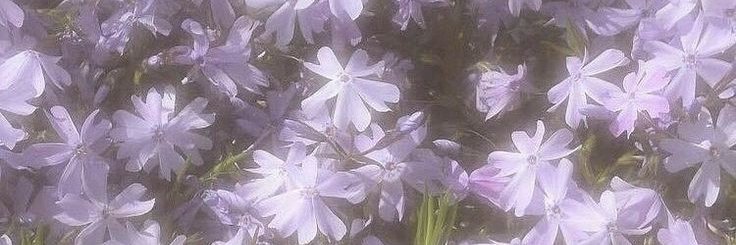 D0nt_cry_b's profile banner image