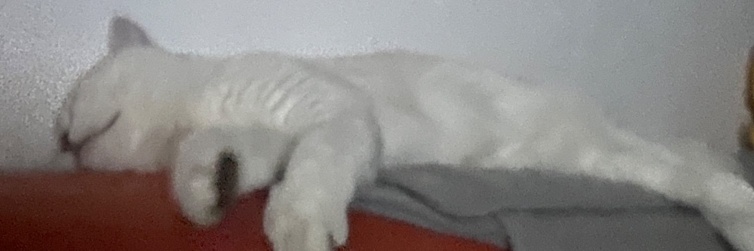 bcrmaria77's profile banner image
