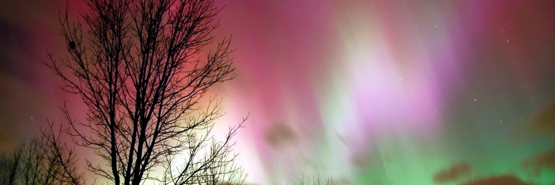 Magnetic Recruitment banner