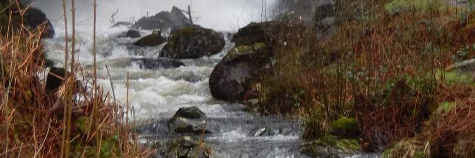 justdeborahnow's profile banner image