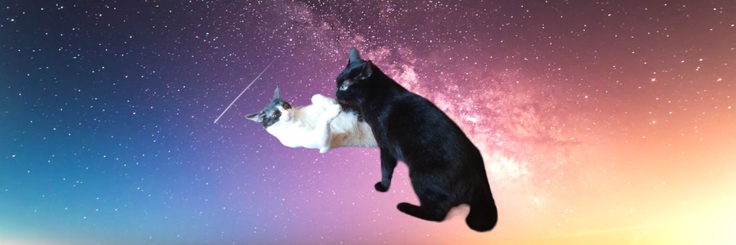 n6h9k's profile banner image