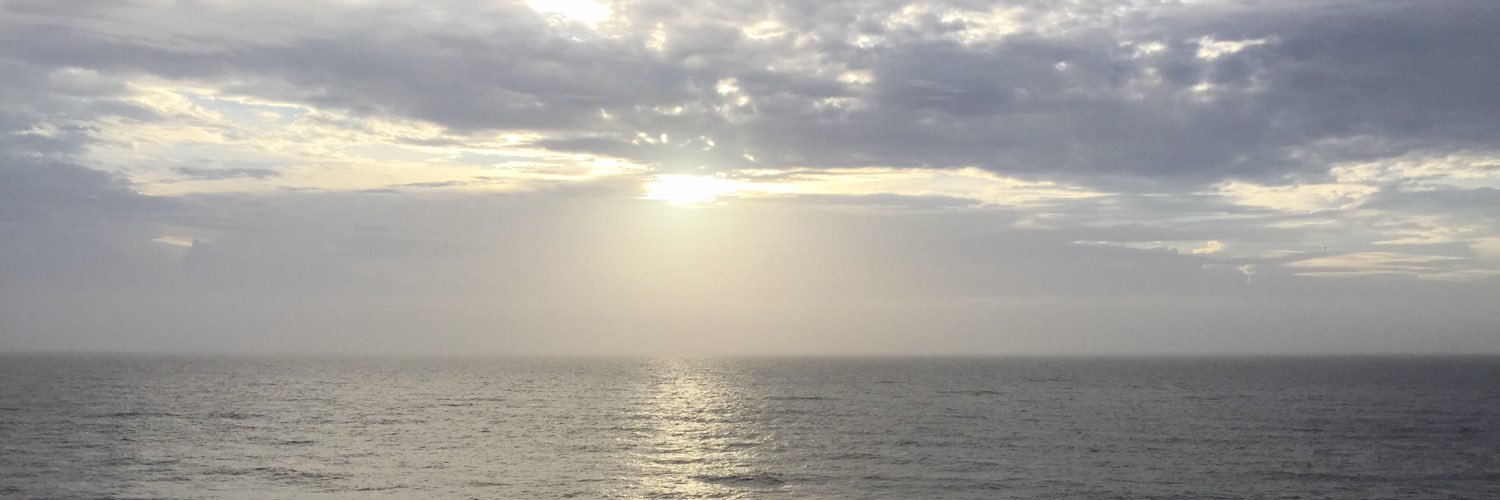 repierce's profile banner image