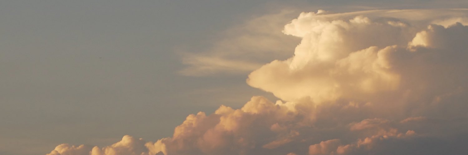 Q20461's profile banner image
