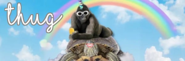 Sol_ThugCTO's profile banner image