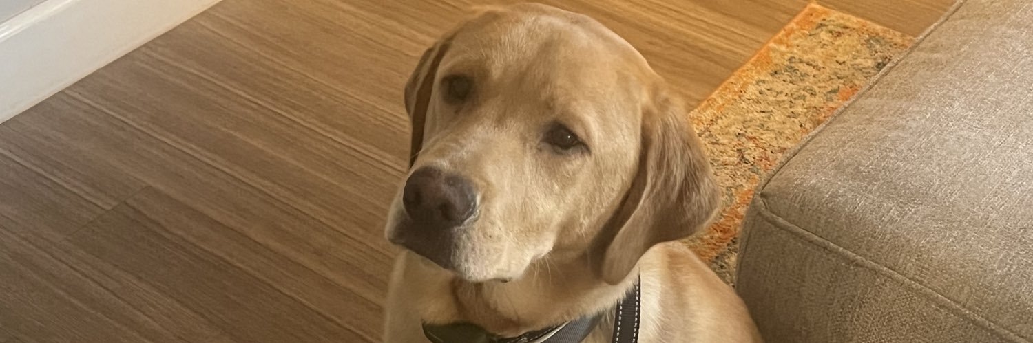FoolsGoldPicks's profile banner image