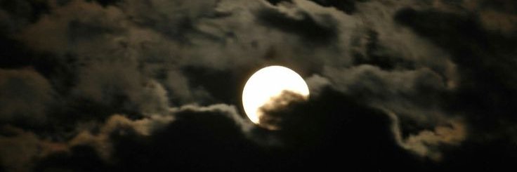 Kôta 🤍 banner