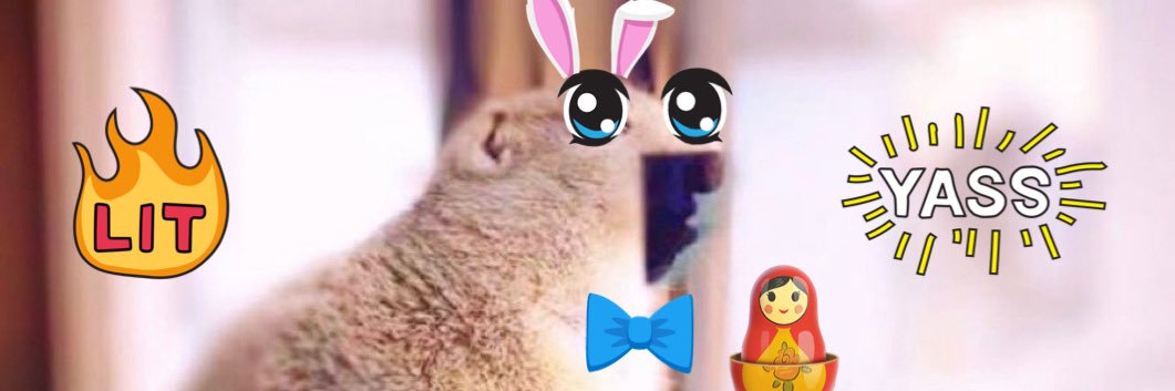 Dr. Dingaling banner