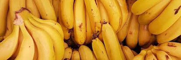 CraxkersXX Profile Banner