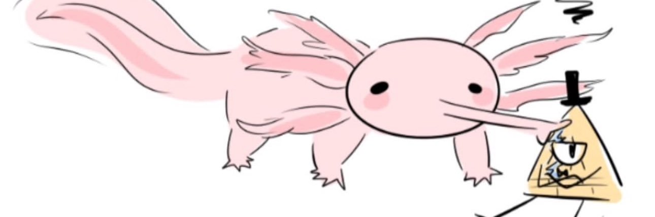 Wompi__'s profile banner image