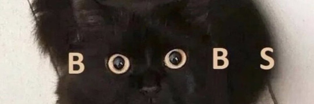 ejckoart's profile banner image