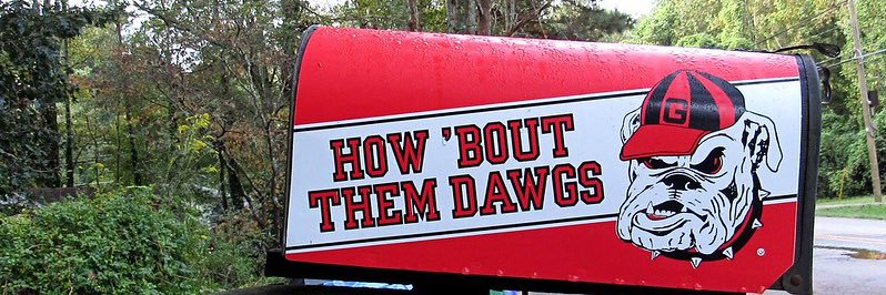 Davis Dawg🐶's banner