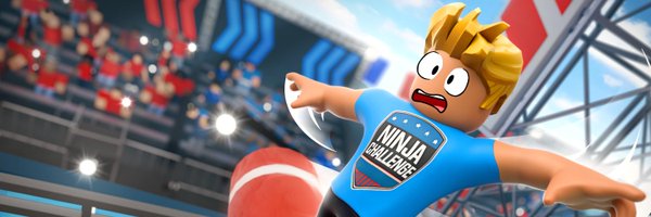 NinjaChallenge0 Profile Banner