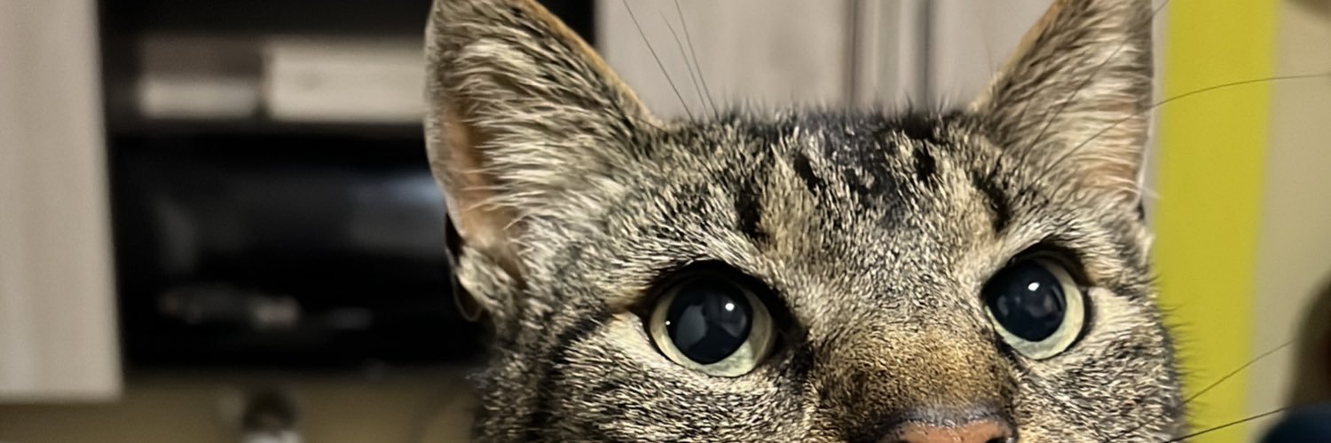 neutaromero's profile banner image