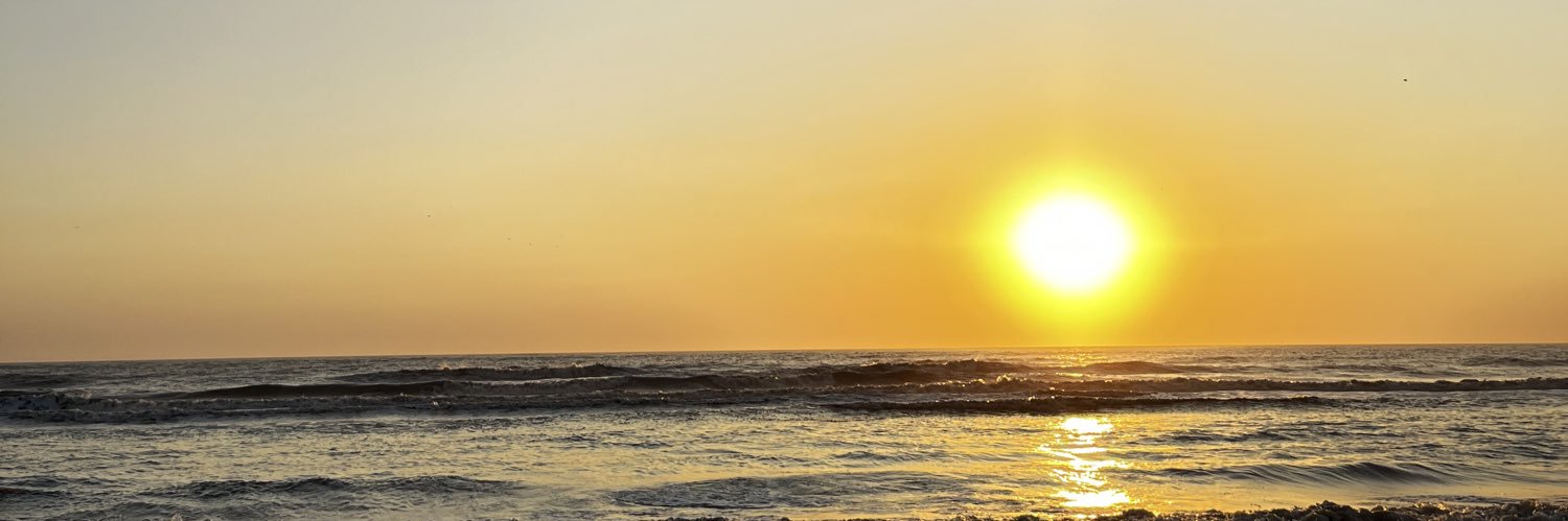 Pol banner