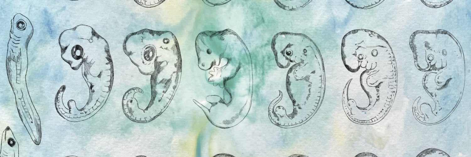 Sergio Menchero banner