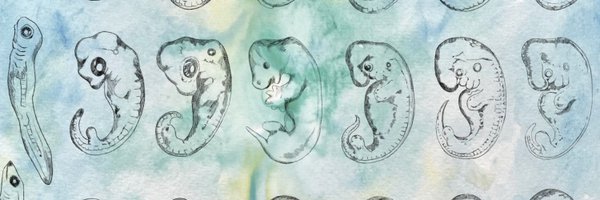 sermenchero Profile Banner