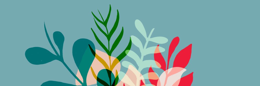 Elisabeth Checa banner