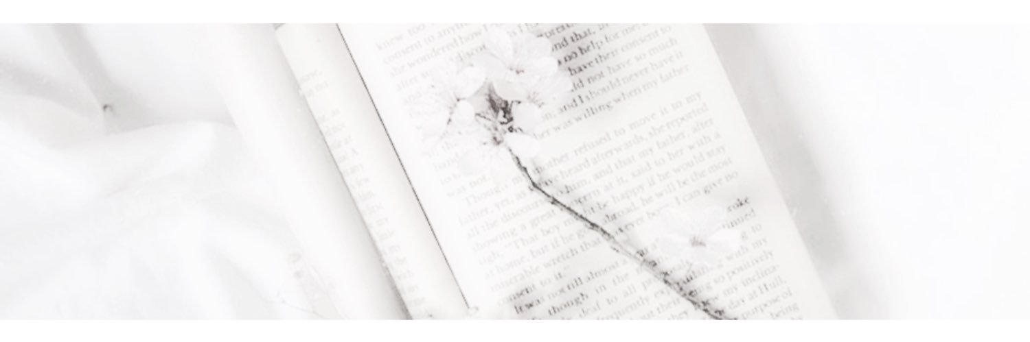 ˖︎⊹ banner