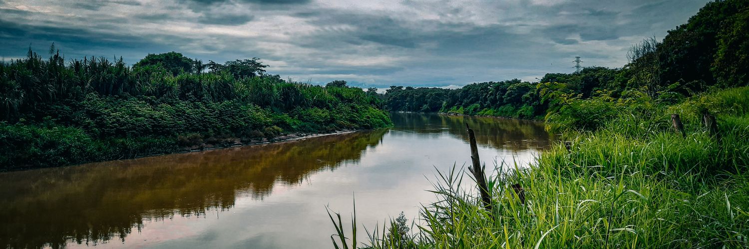 XYN PязdeD🇨🇴 banner