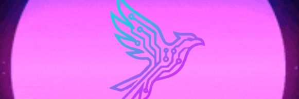 Phoenix Robotics banner